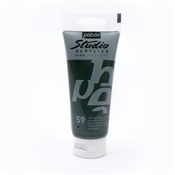 Acrilico Studio Verde Vejiga 100 Ml Pebeo