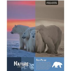 Cuaderno Universitario Nature 100 Hj 7Mm Proarte